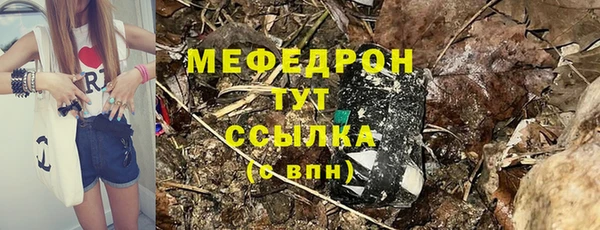ешки Ельня