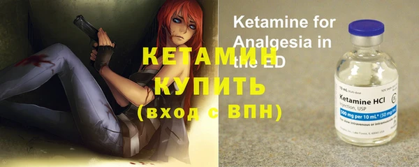 стафф Елизово