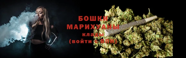 стафф Елизово