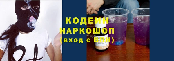 стафф Елизово