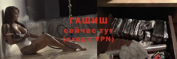 ешки Ельня