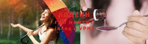 ешки Ельня