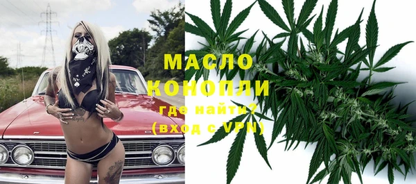 ешки Ельня