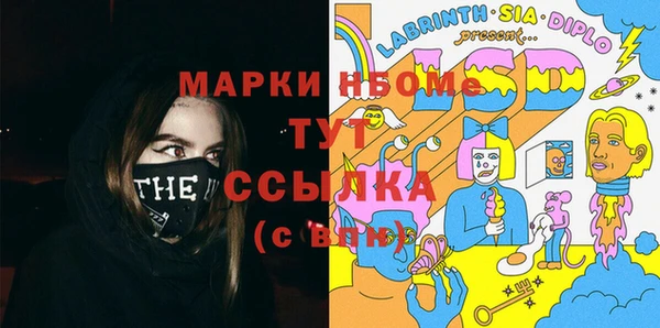 стафф Елизово