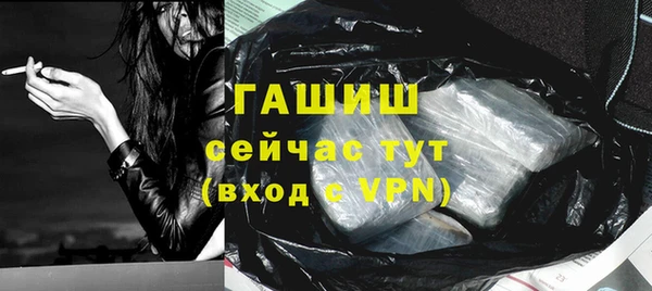 ешки Ельня