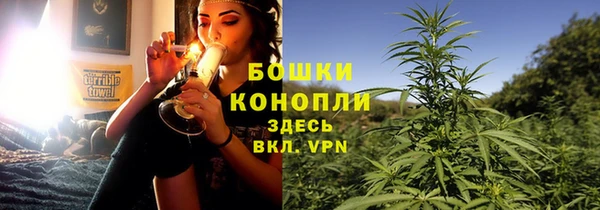 стафф Елизово